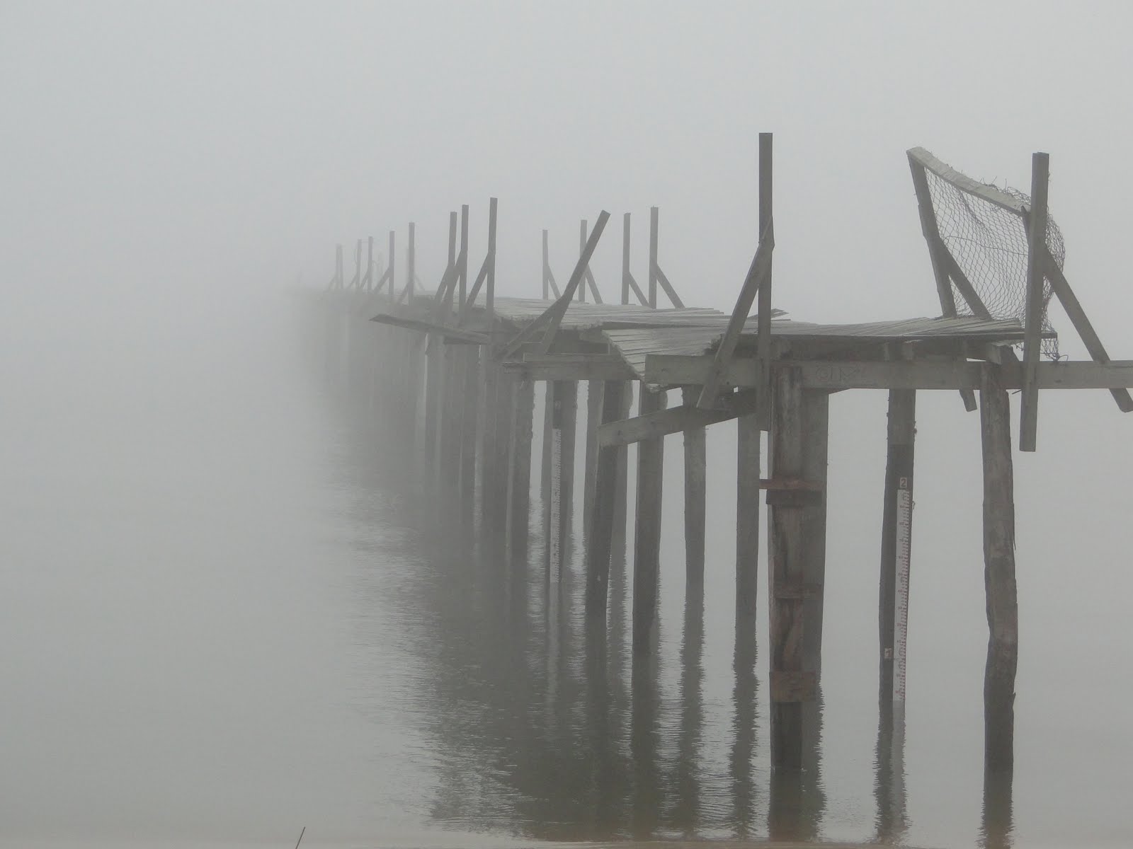 Amadeu Amaral – Névoa