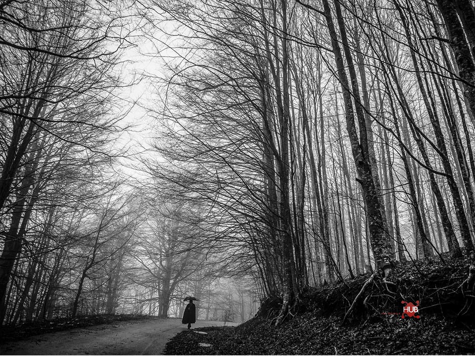 Olavo Bilac – Nel Mezzo Del Camin…