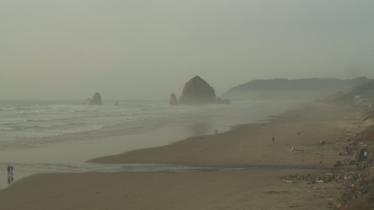 Carlos Drummond de Andrade – Consolo na Praia