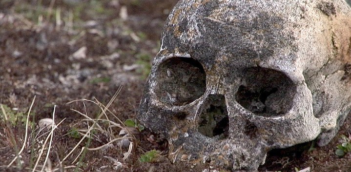 Ivan Junqueira – Esse Punhado de Ossos