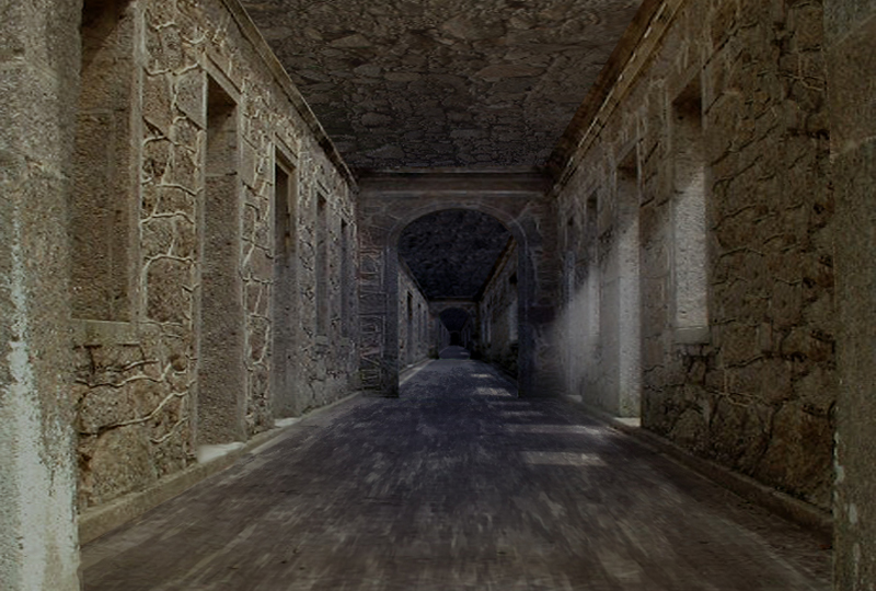 Ferreira Gullar – Galo Galo