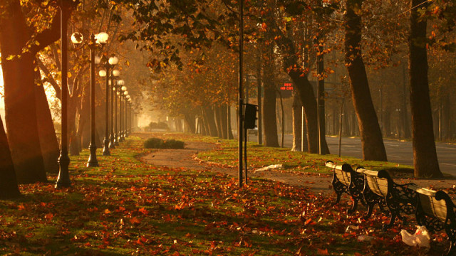 Carlos Drummond de Andrade – Tarde de Maio