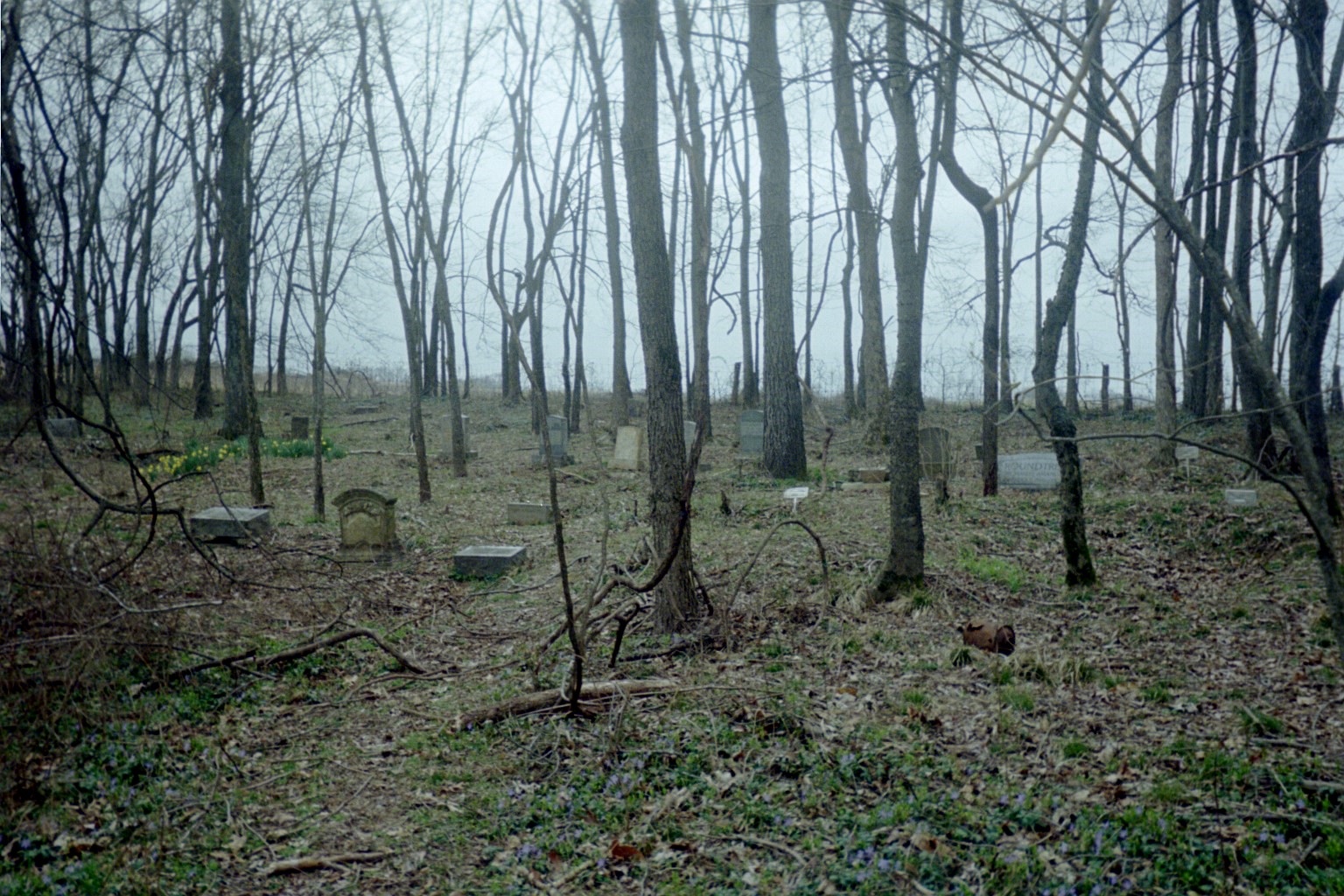 Carlos Drummond de Andrade – Os Rostos Imóveis