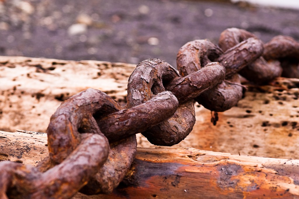 Carlos Drummond de Andrade – A Corrente