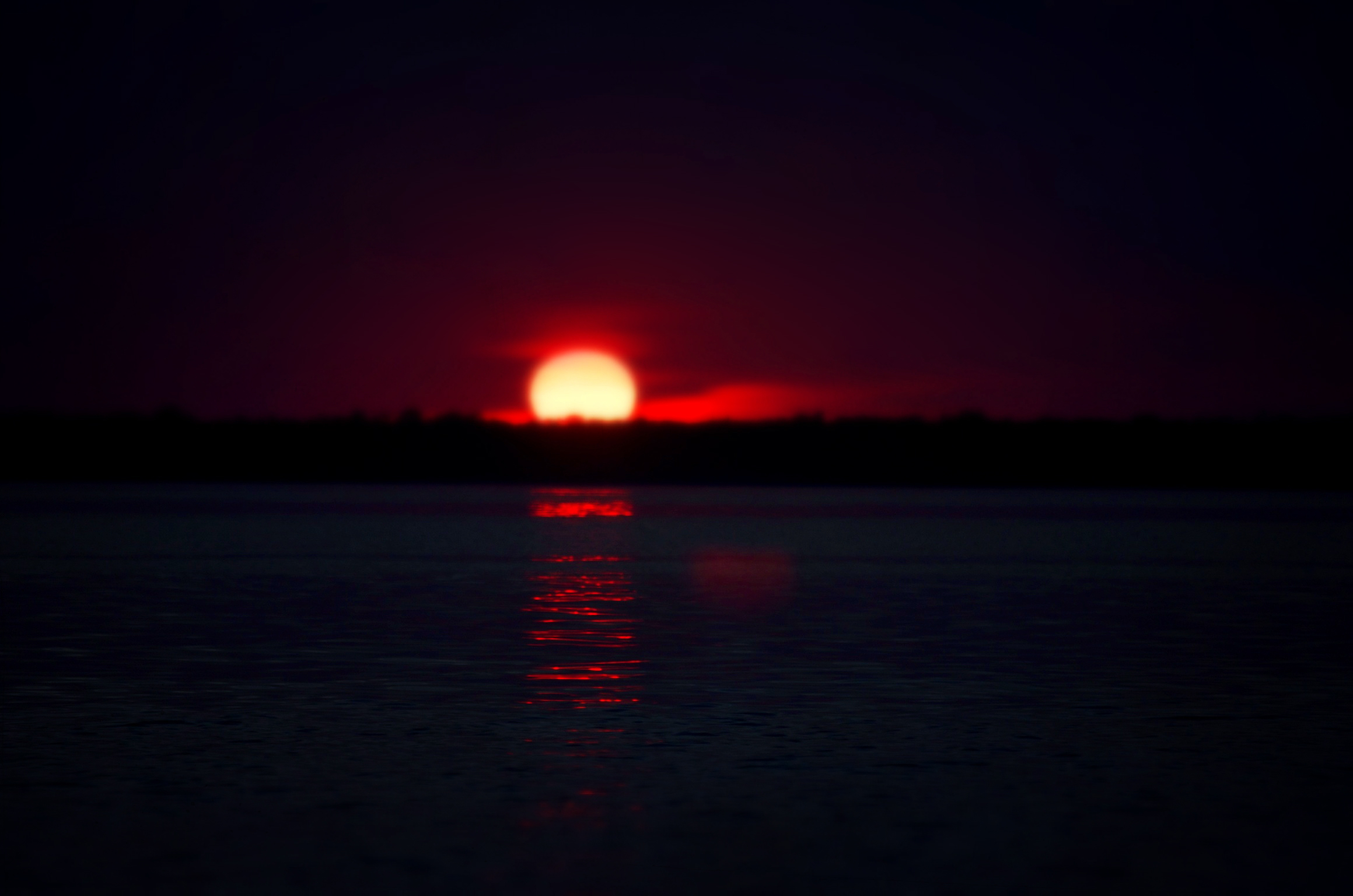 Jorge Luis Borges – O Suicida