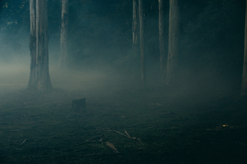 Cassiano Ricardo – O Hipopótamo