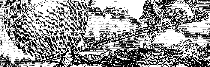 Cassiano Ricardo – O Cacto