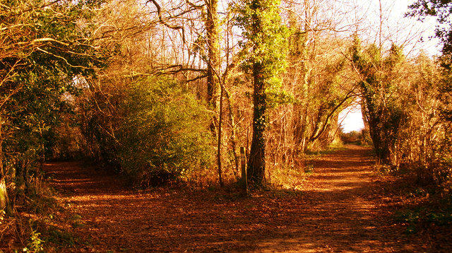 Robert Frost – A estrada não trilhada