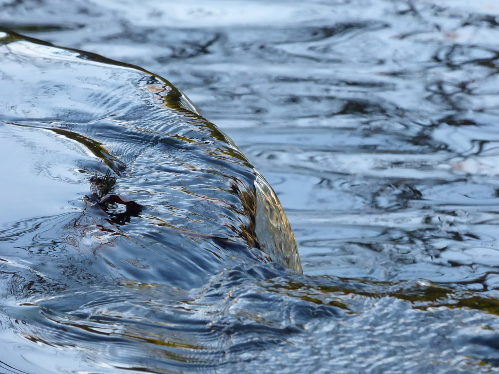 Bertold Brecht – Tudo Muda