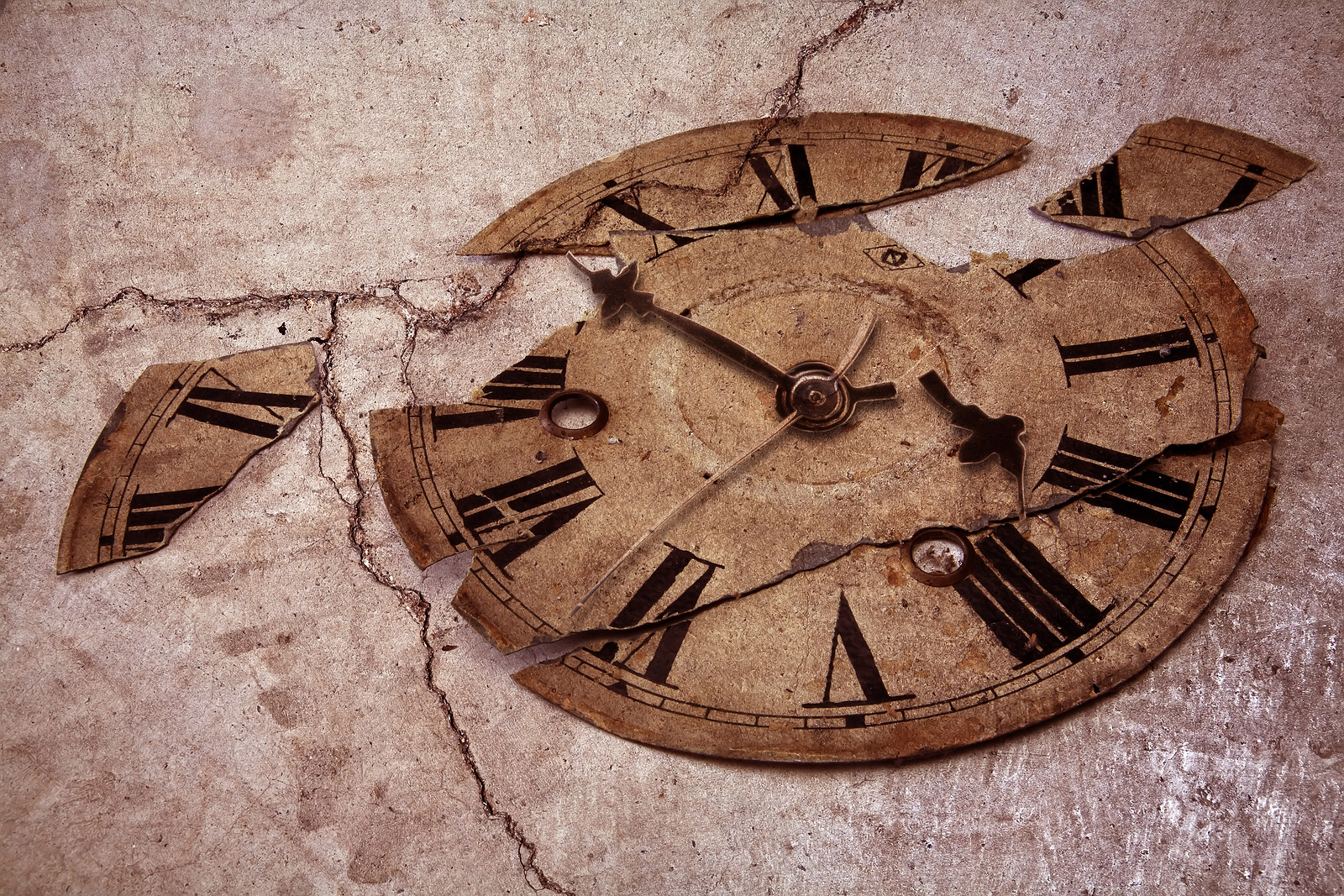 Miguel Torga – Agenda