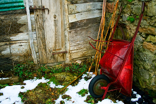 William Carlos Williams – Carrinho de Mão Vermelho