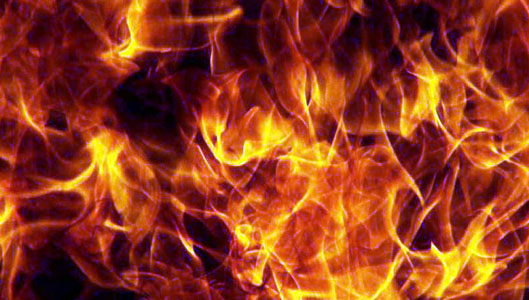 Richard Rorty – O Fogo da Vida