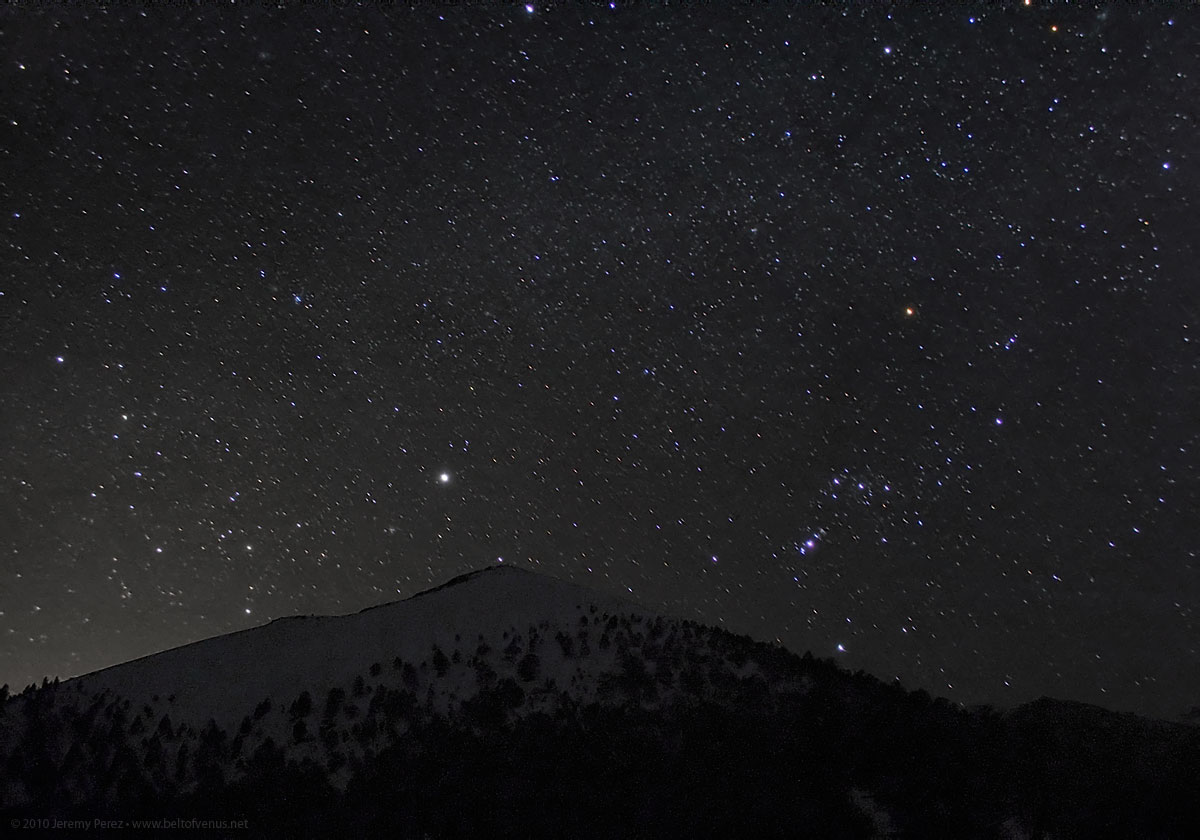 Cecilia Meireles – Cantarão os Galos