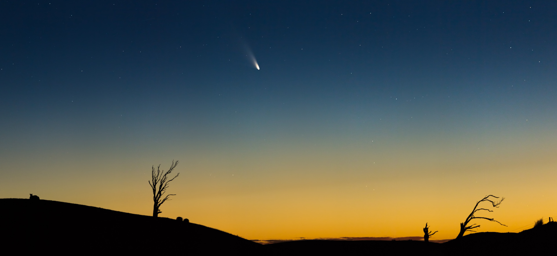Marcelo Tápia – a pedra volátil