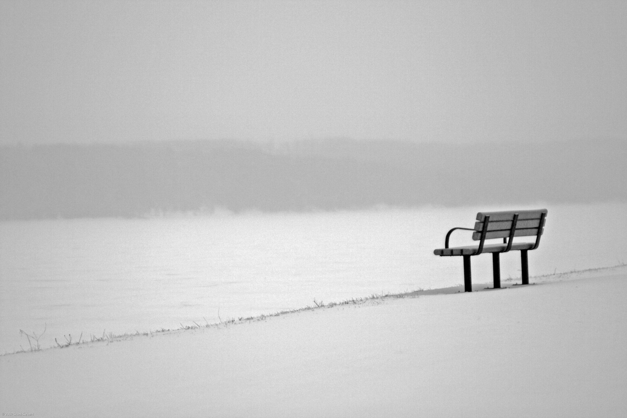 Paulo Henriques Britto – Cuidado Poeta…