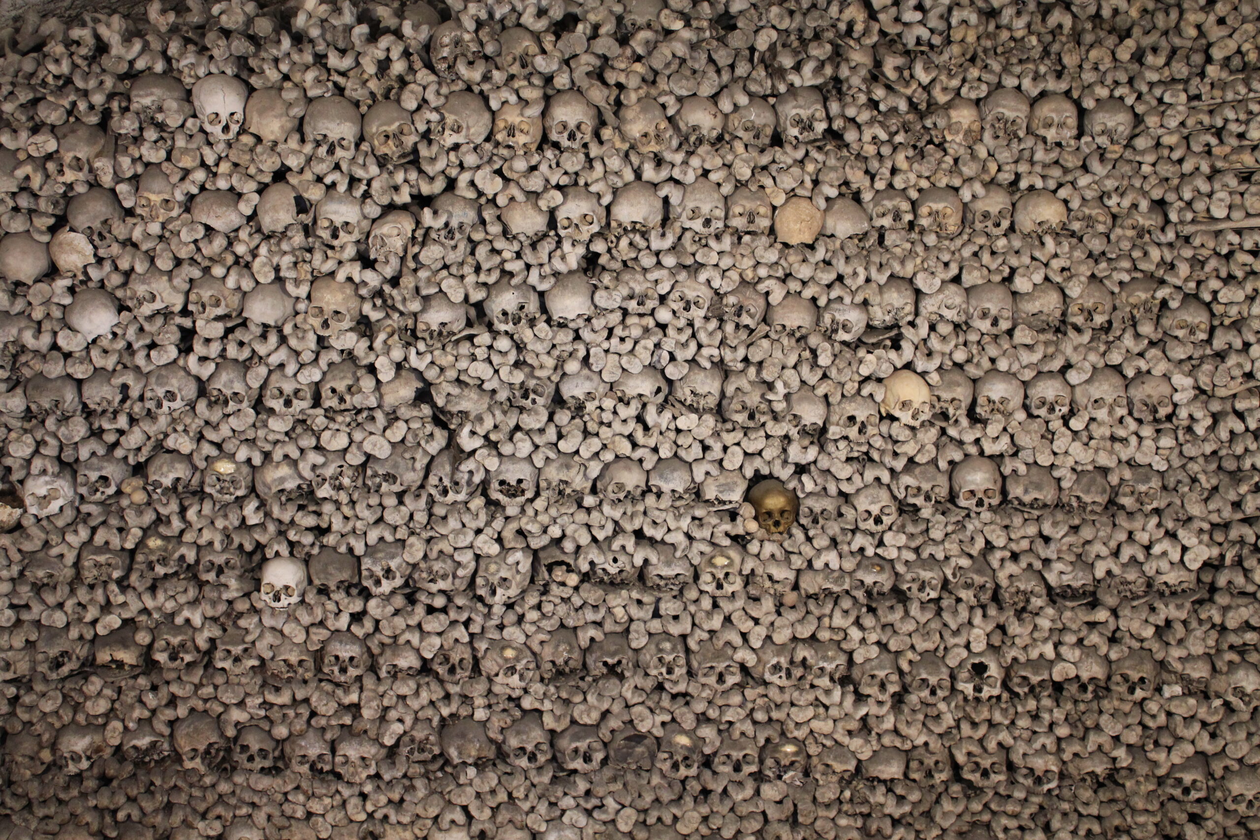 Paulo Henriques Britto – Memento Mori II