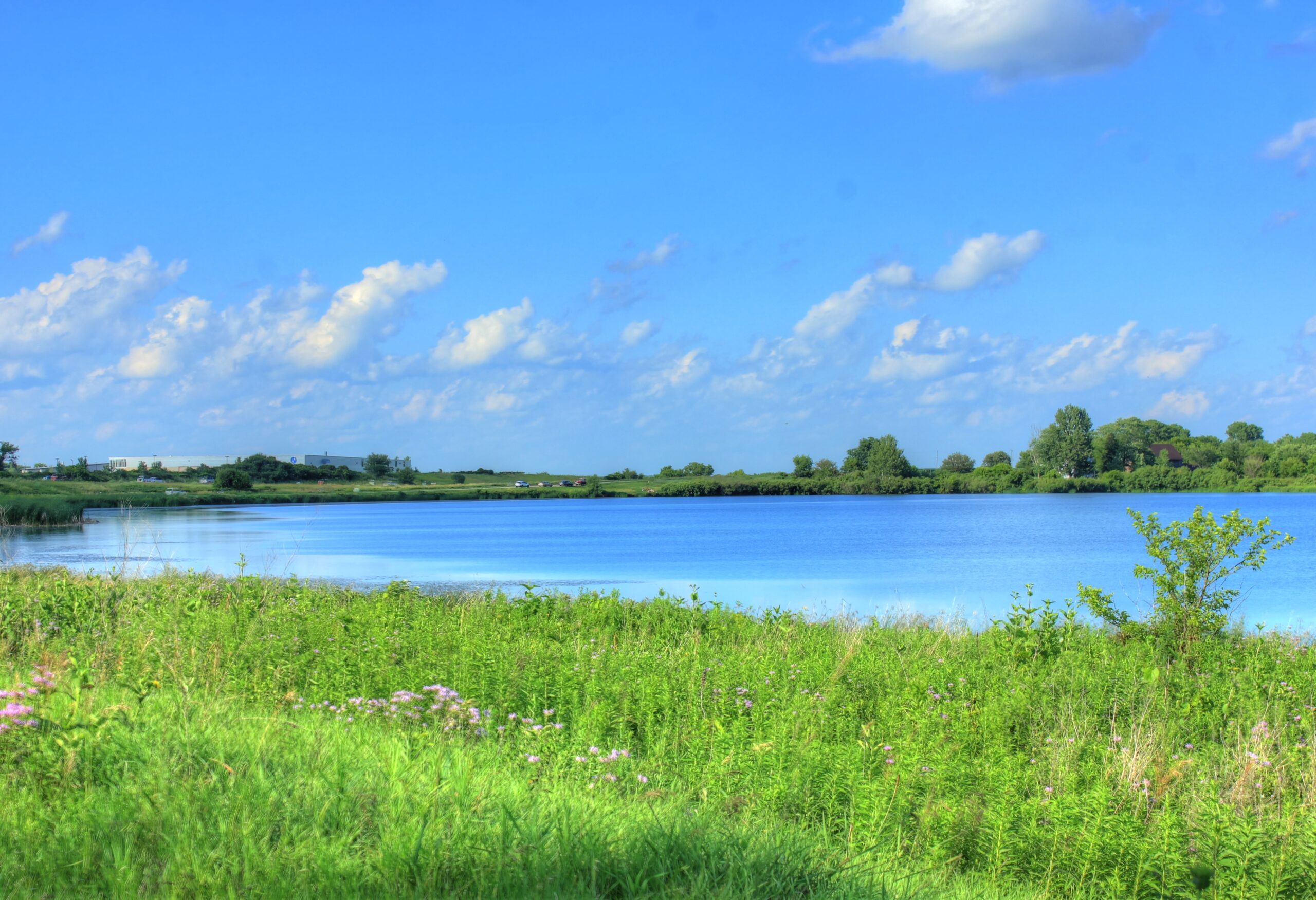 Cecília Meireles – De que são feitos os dias?