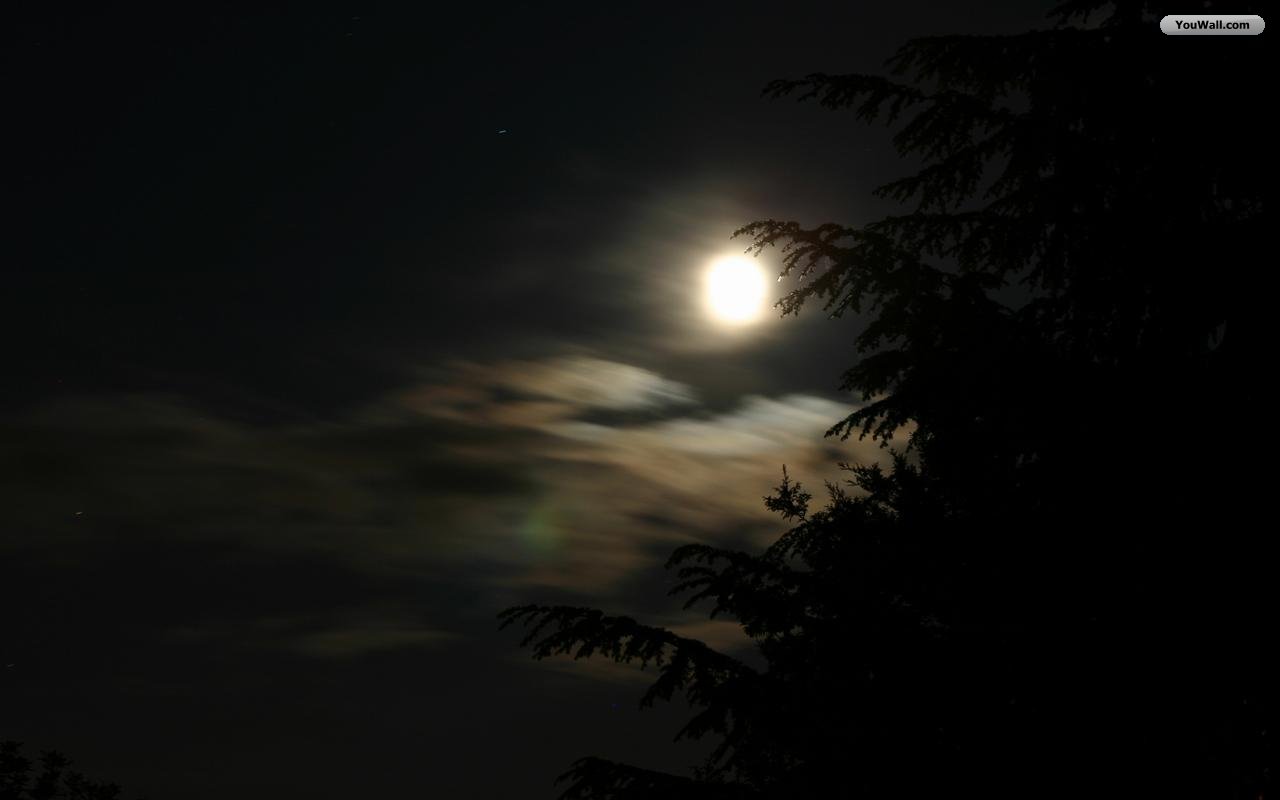 Walter de la Mare – Os que Ouviam