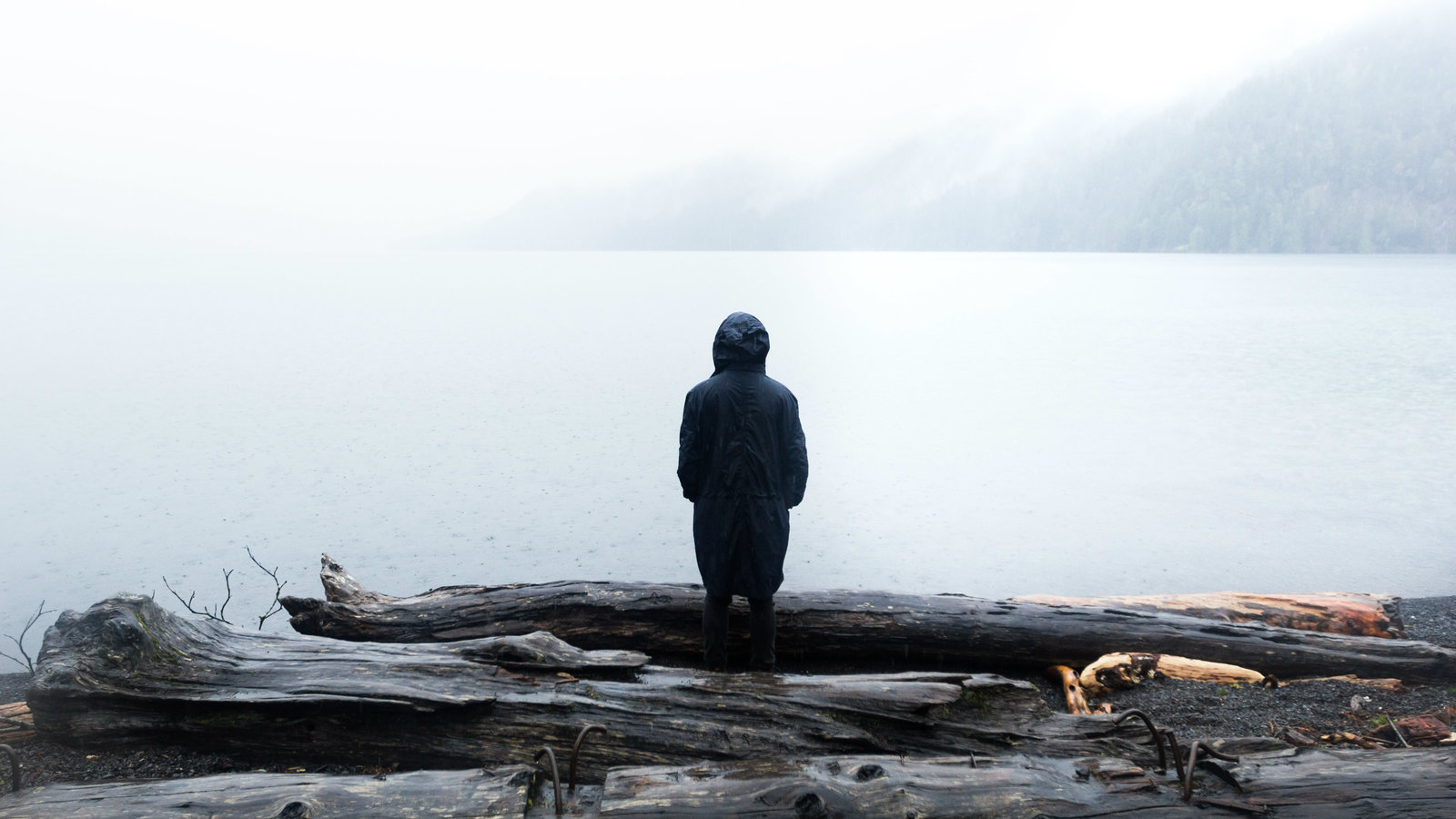 Wislawa Szymborska – As Cartas dos Mortos