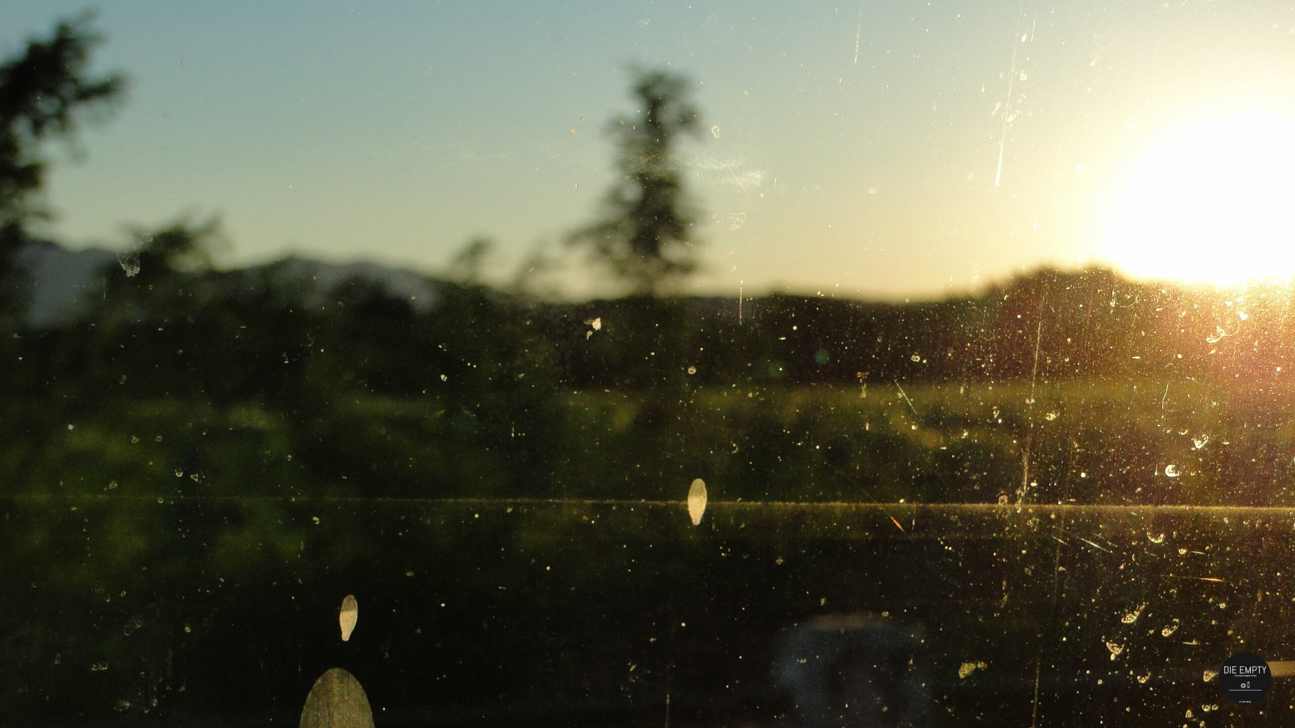 Philip Larkin – Os Velhos Tolos