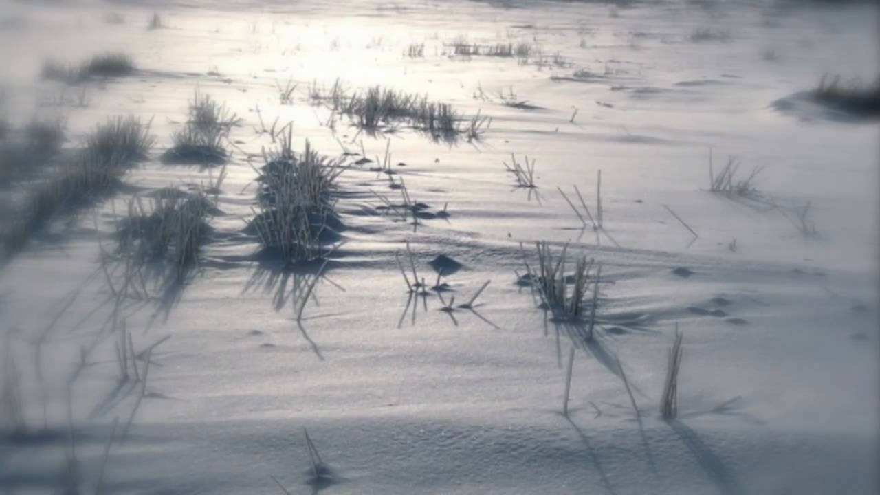 T. S. Eliot – Os Homens Ocos