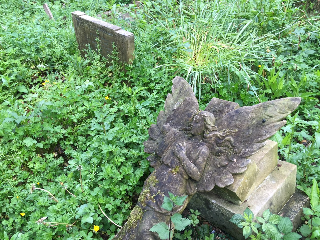 Paulo Henriques Britto – de “Uma Doença”