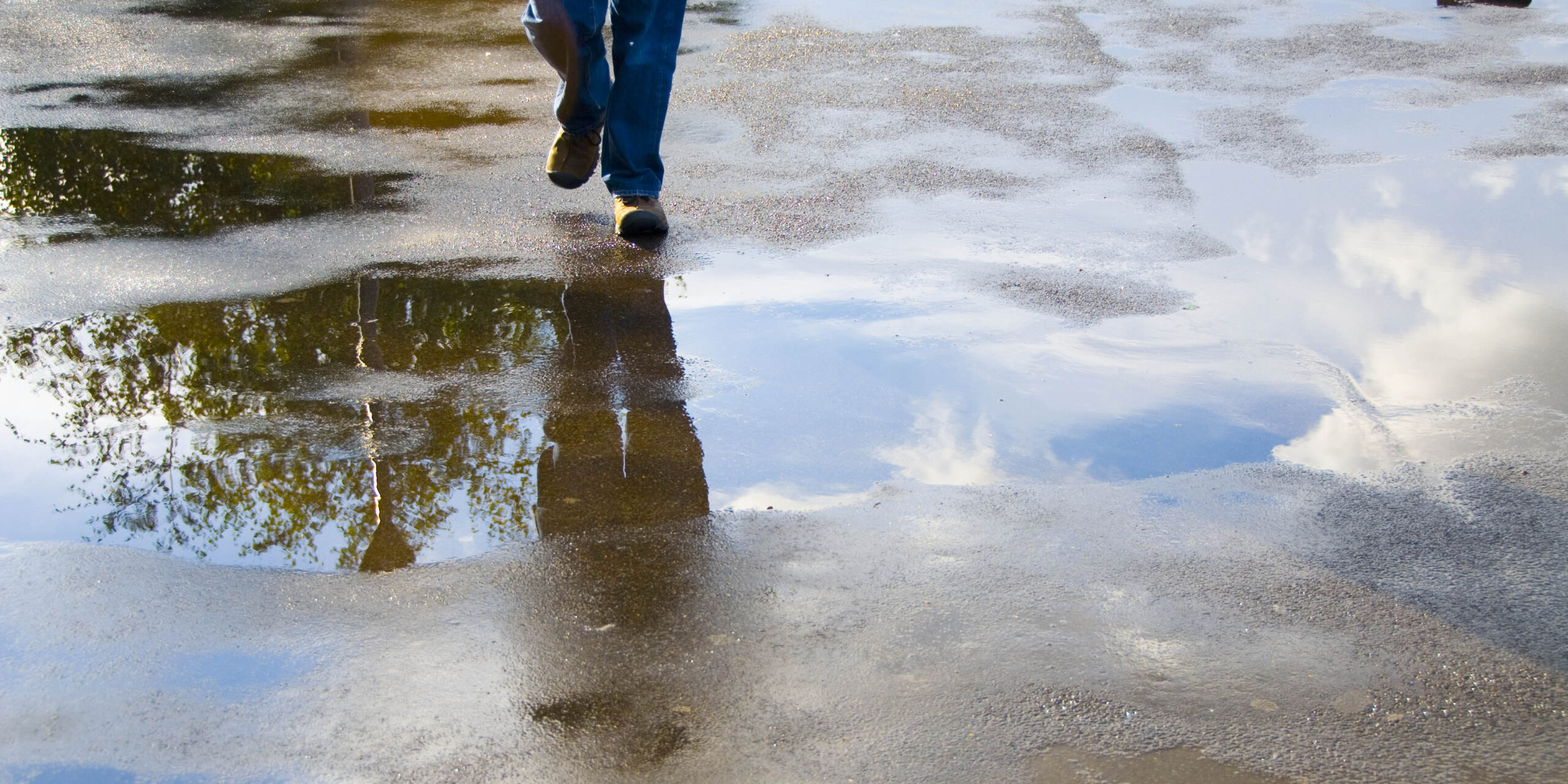 Paulo Henriques Britto – de “Dez Sonetoides Mancos”