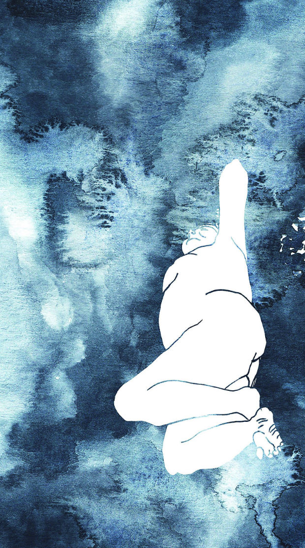 Maria Cecilia Brandi – A Dança