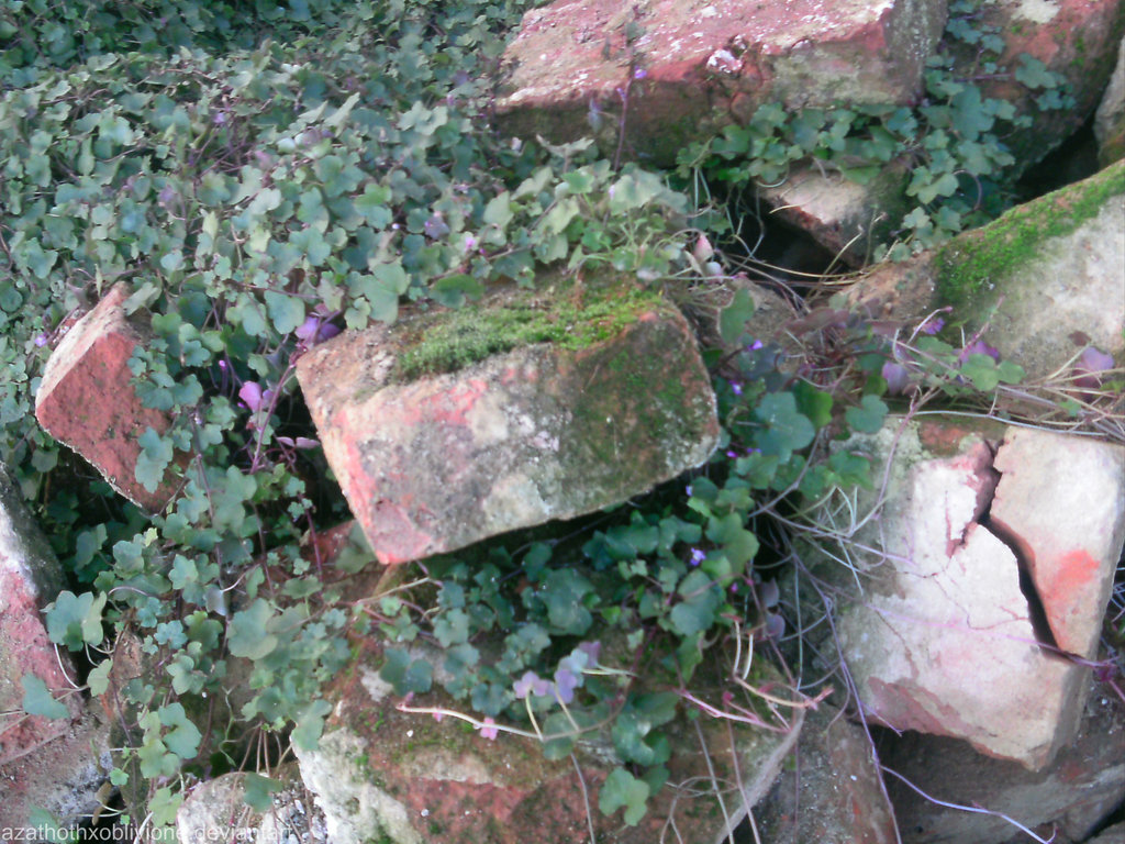 Mario Benedetti – Lento mas vem