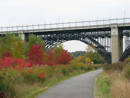 Amalia Bautista – Agora