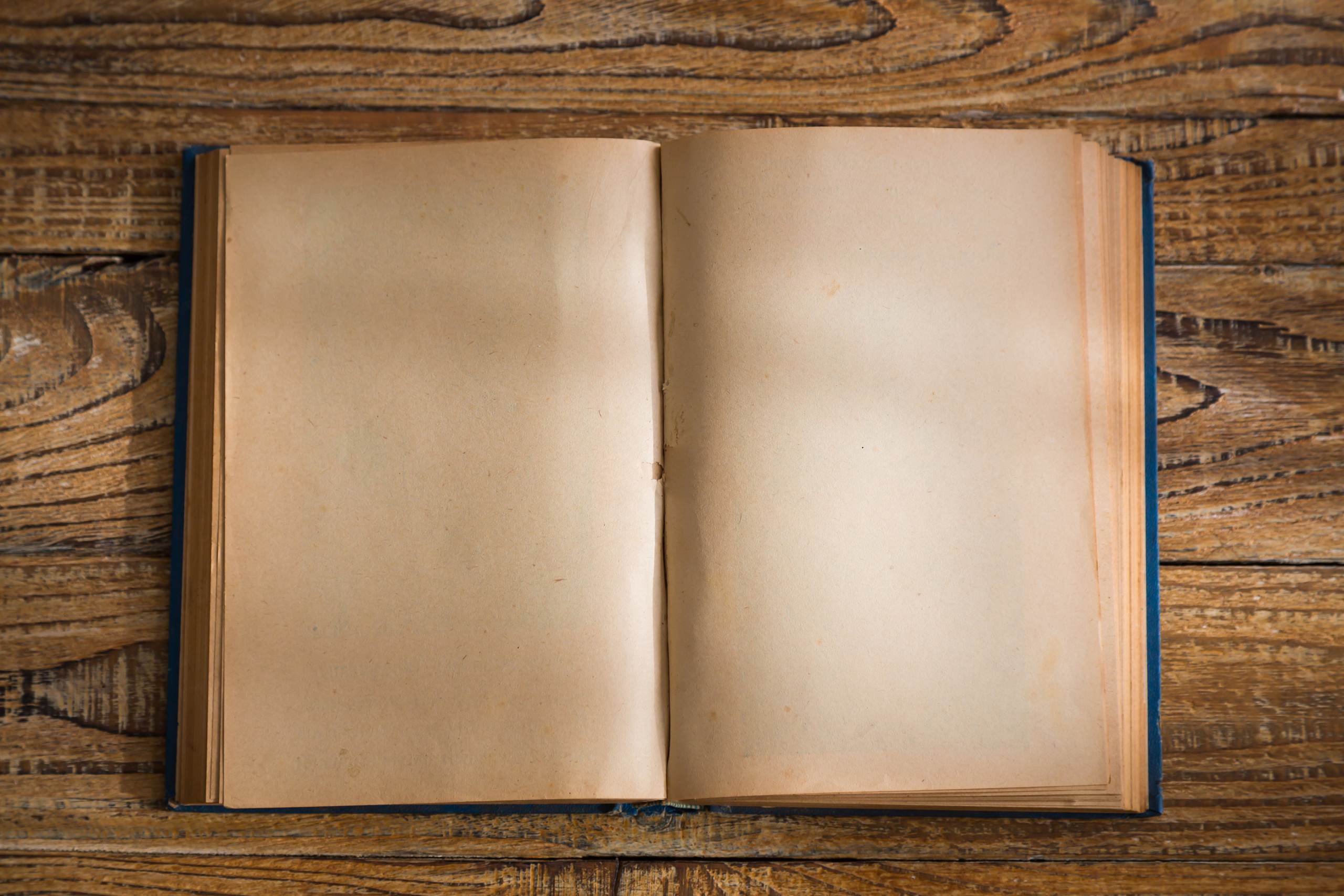 Sophia de Mello Breyner Andresen – Os Erros