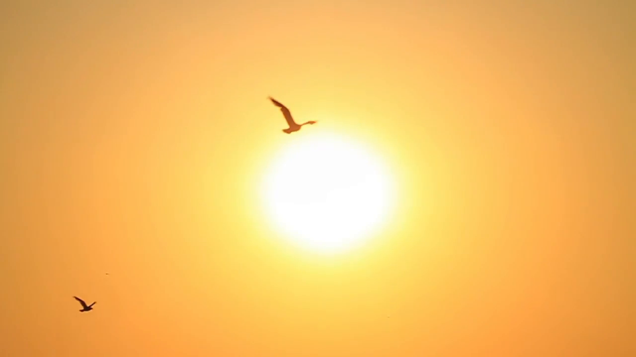 Alberto Caeiro – Poema XLIII (“Antes o voo da ave”)