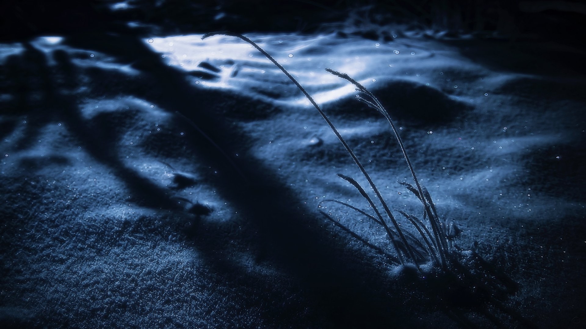 Yehuda Amichai – Na história do nosso amor