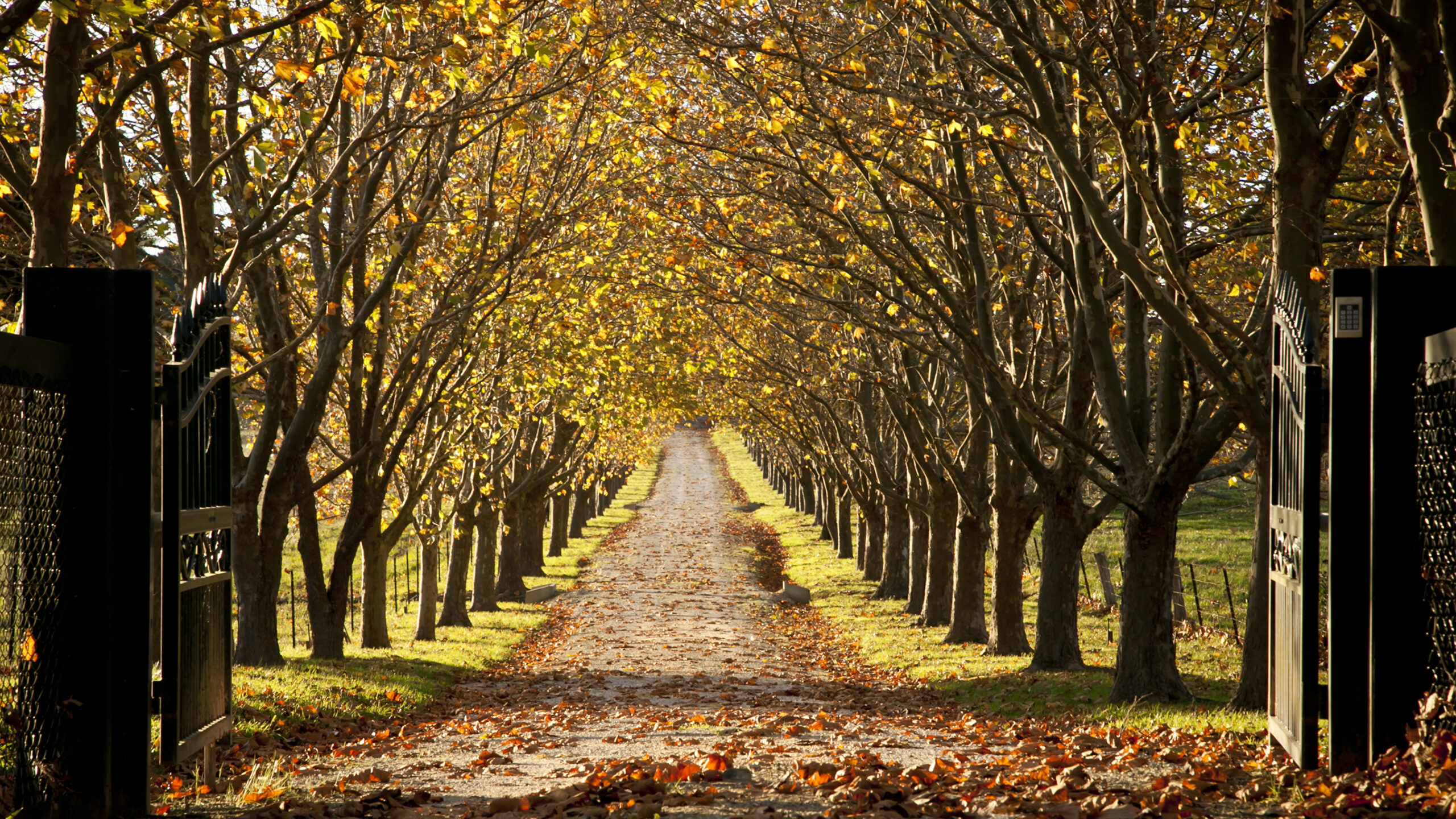 A. M. Pires Cabral – Motes e Voltas