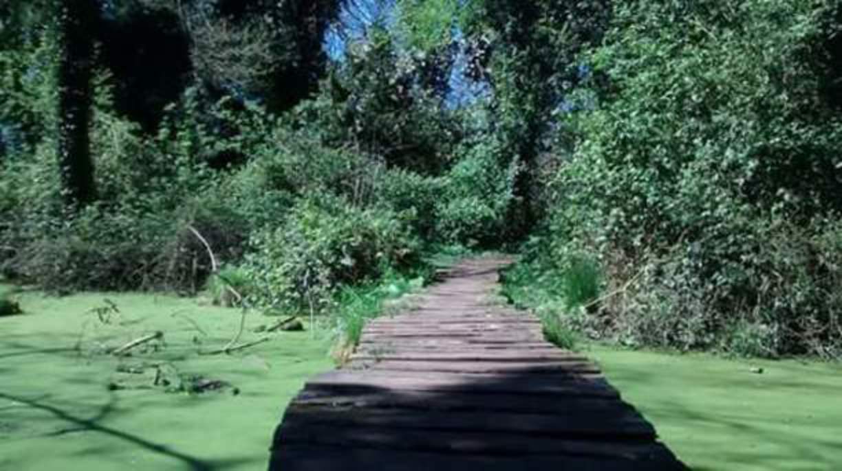 Manuel António Pina – Lugares da infância