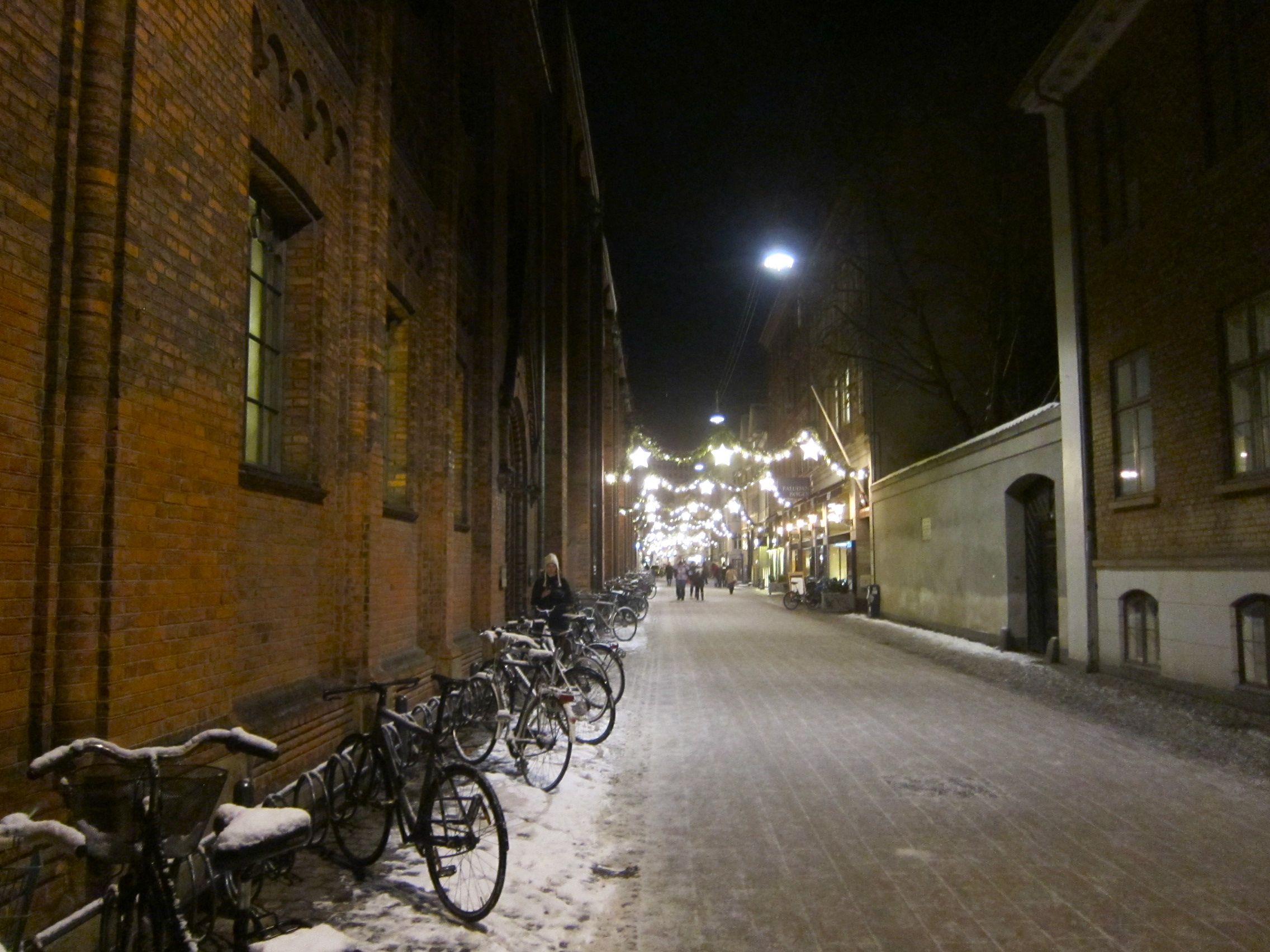 Manuel de Freitas – Grand Hotel København, 326