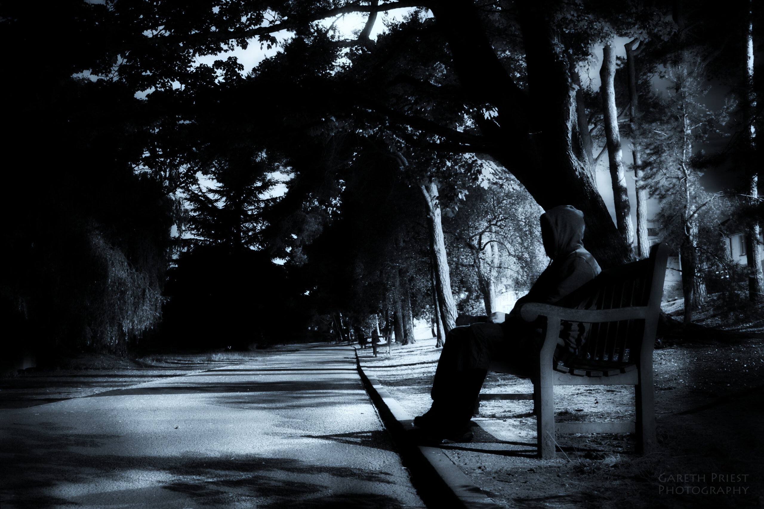 Manuel de Freitas – Genealogia