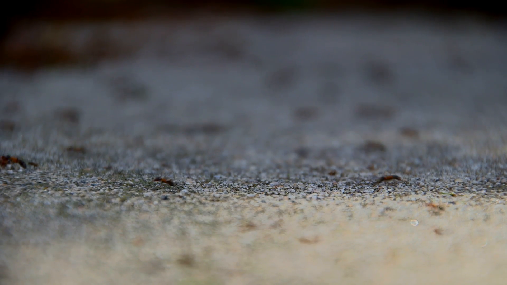 Andreia C. Faria – [Tenho a pedir-vos que não reutilizeis mais nada]