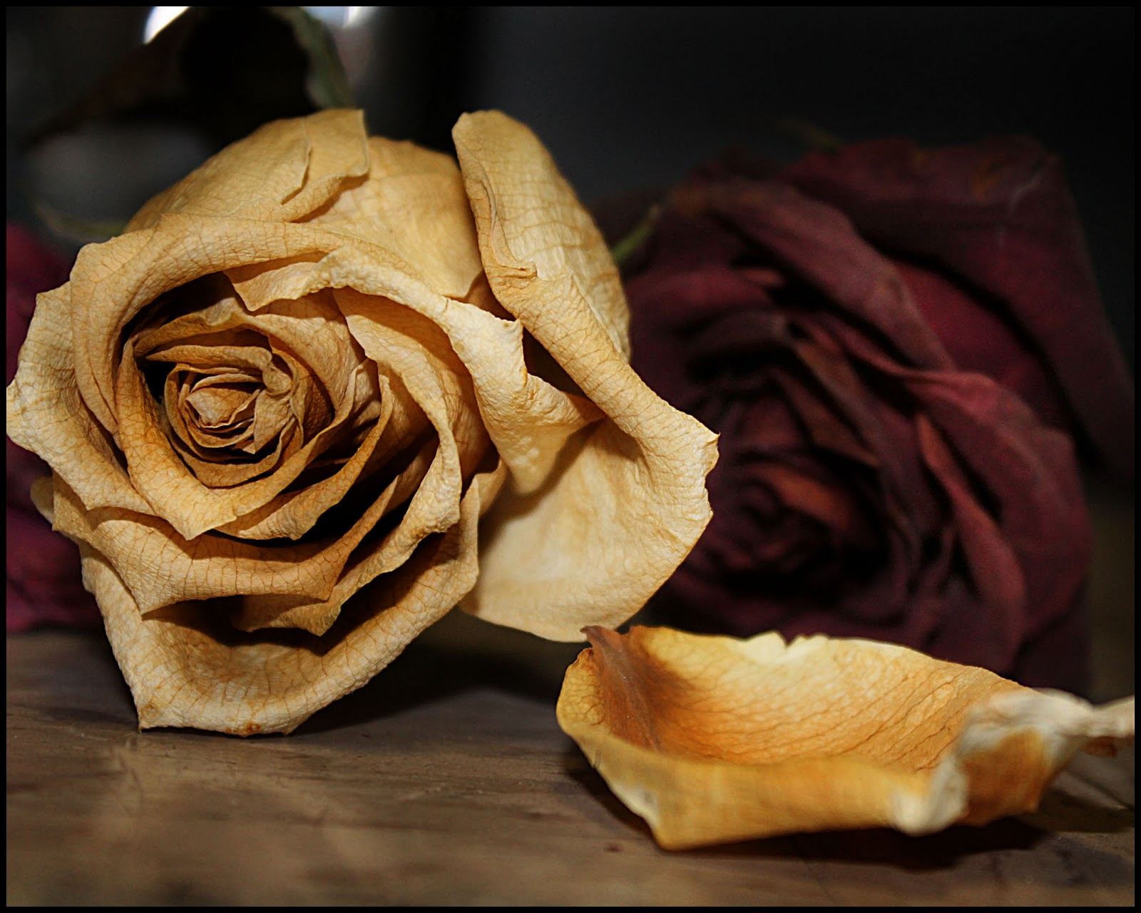 Felipe Benitez Reyes – “Collige Rosas”