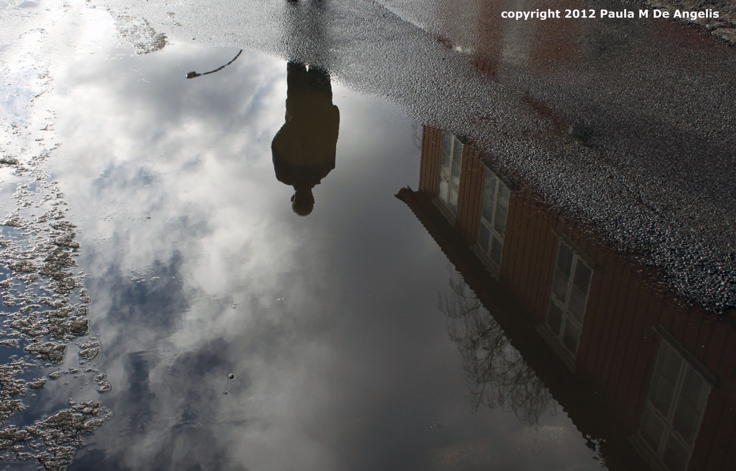Josep M. Rodríguez – Talvez Amor