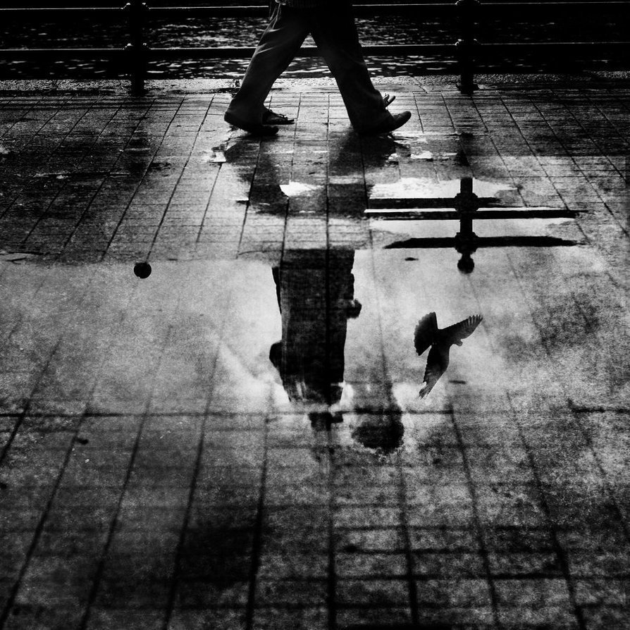 Eugénio Andrade – Passamos pelas coisas sem as ver