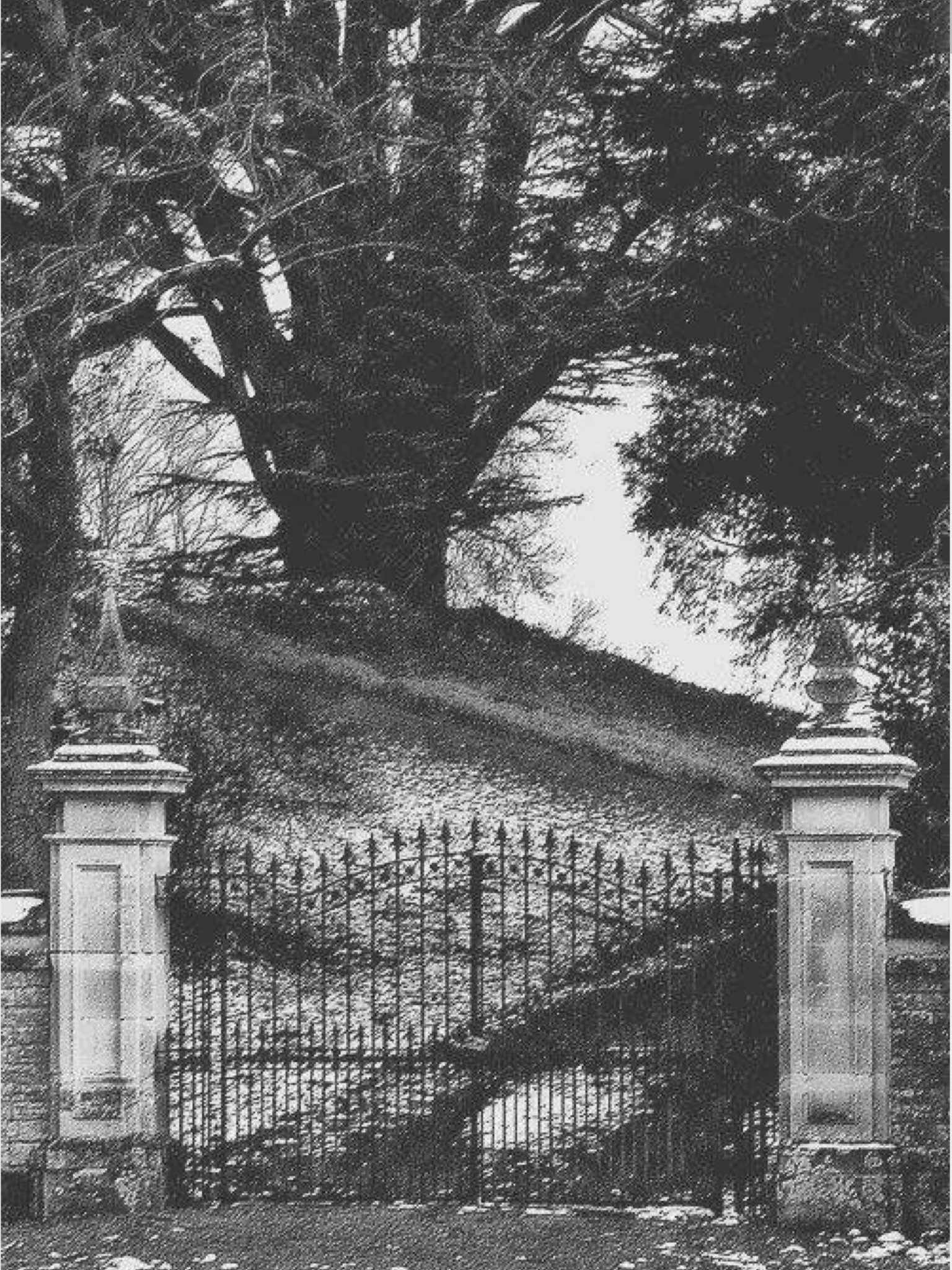 Ian Hamilton – Memorial