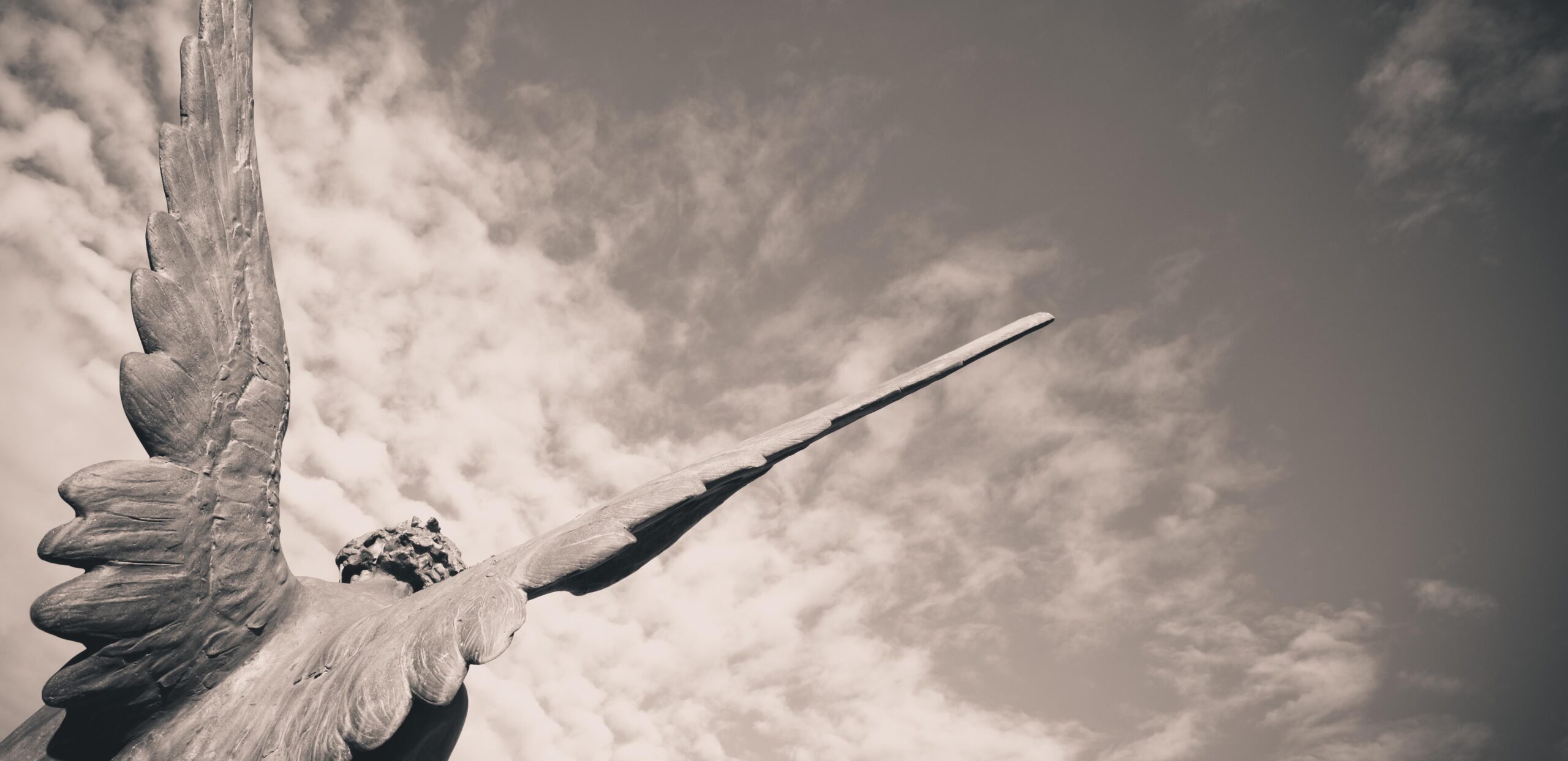 Robert Schindel – Réquiem por uma Amizade