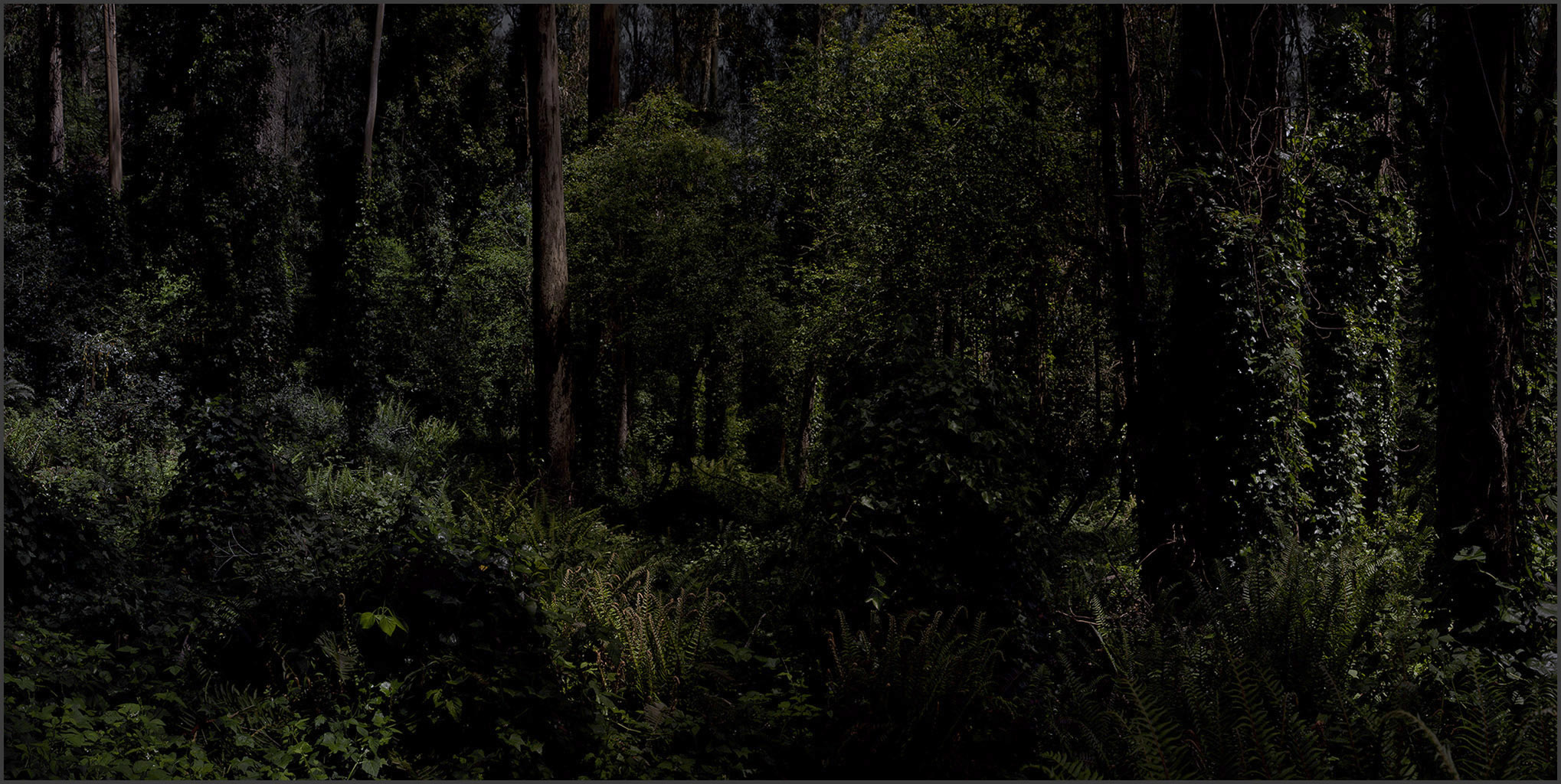 Luís Falcão – Sabemos que o tempo passou