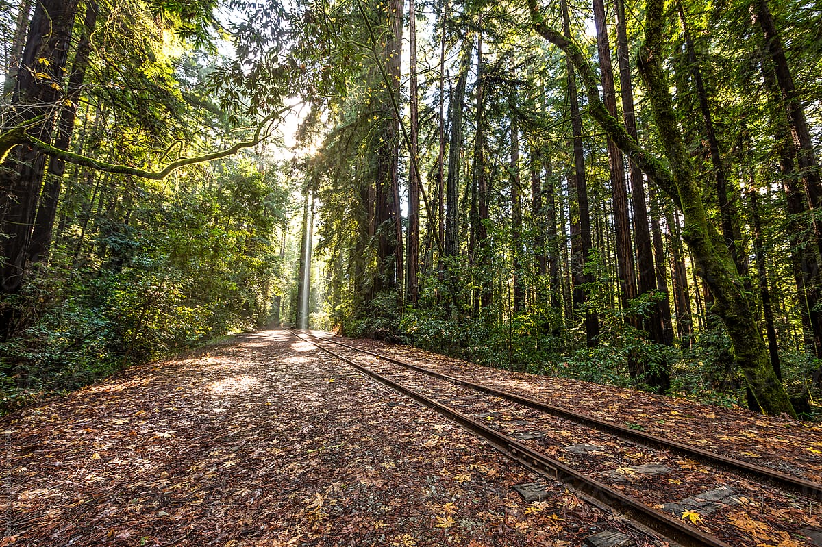 José Asunción Silva – Obra Humana