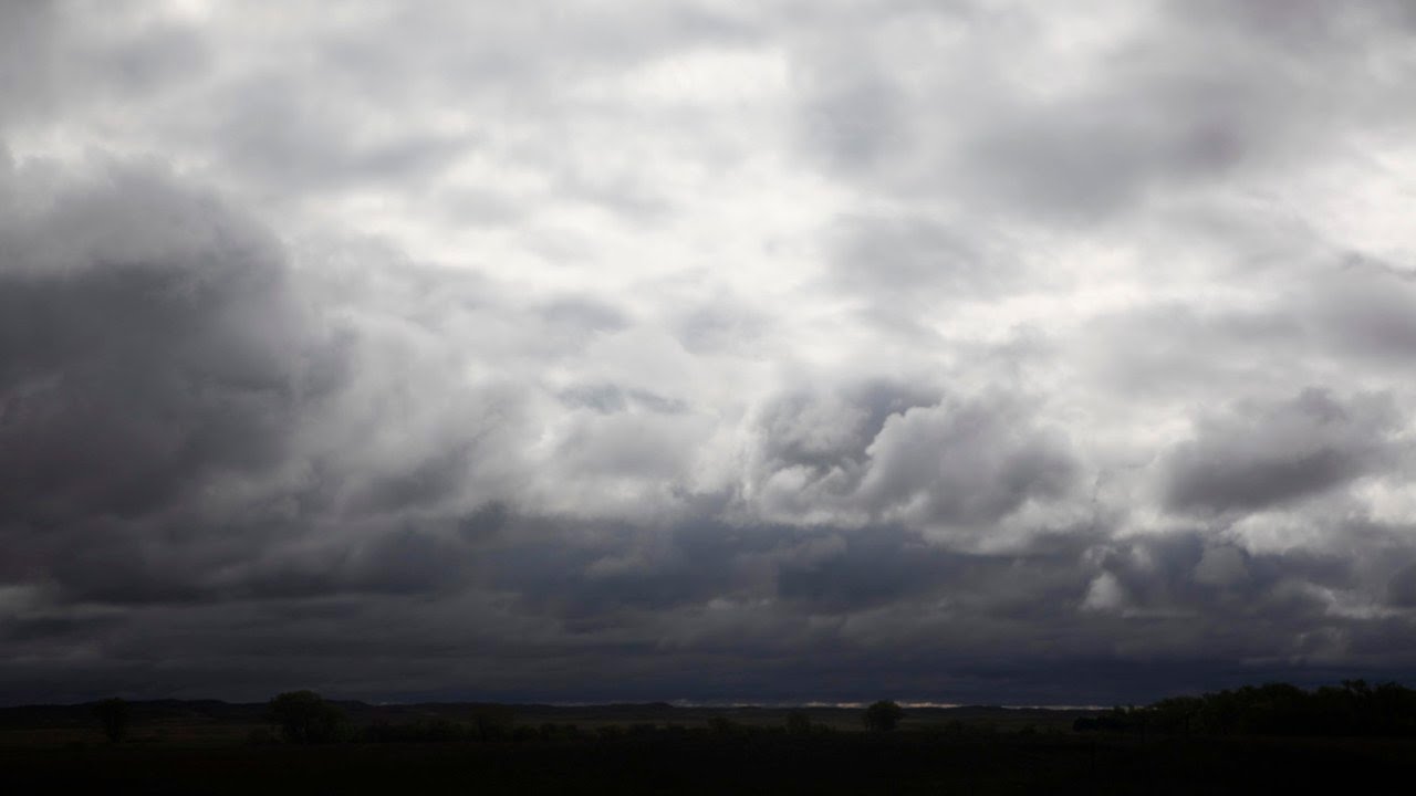 Javier Salvago – Ano Novo