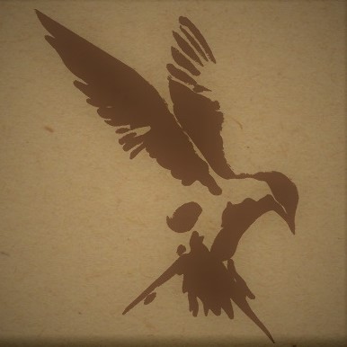 José Fernando Guedes – Coeso é o tempo