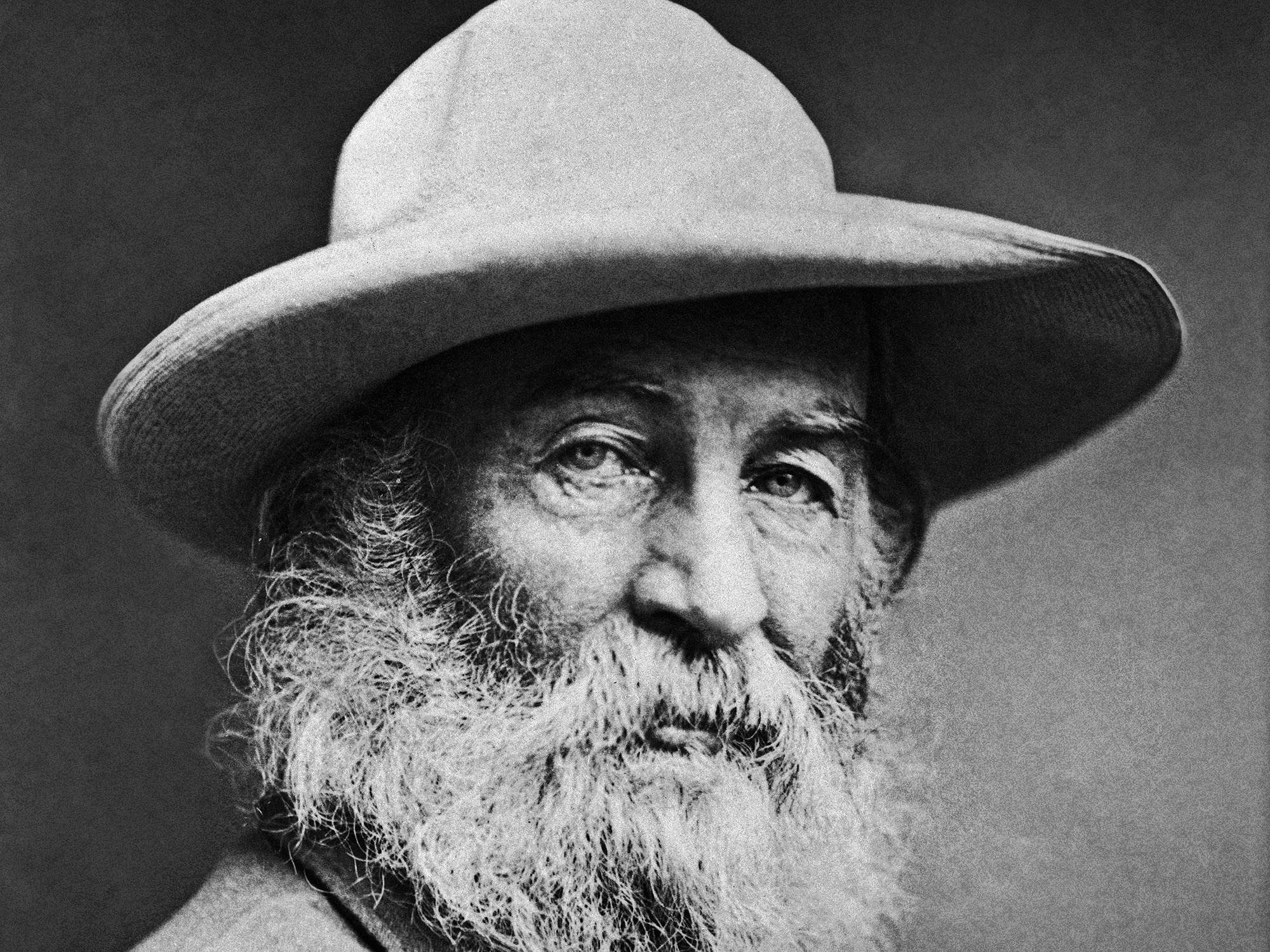 Walt Whitman – Canção de mim mesmo, 48