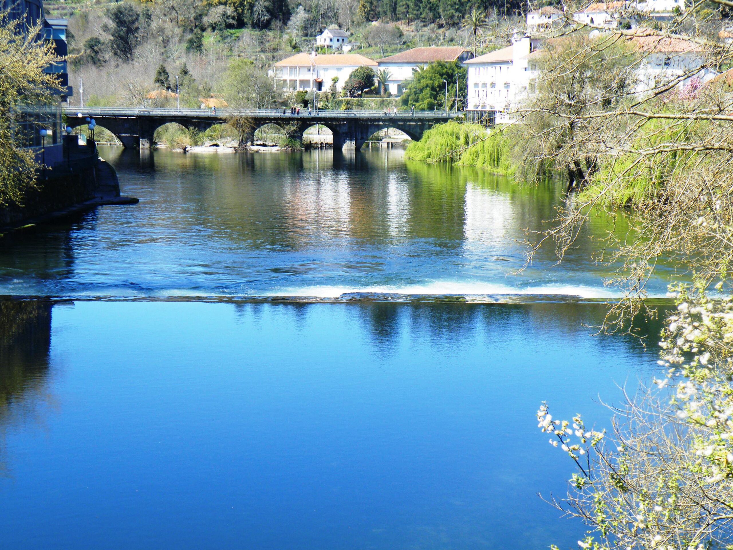 José Miguel Silva – Desculpas não faltam
