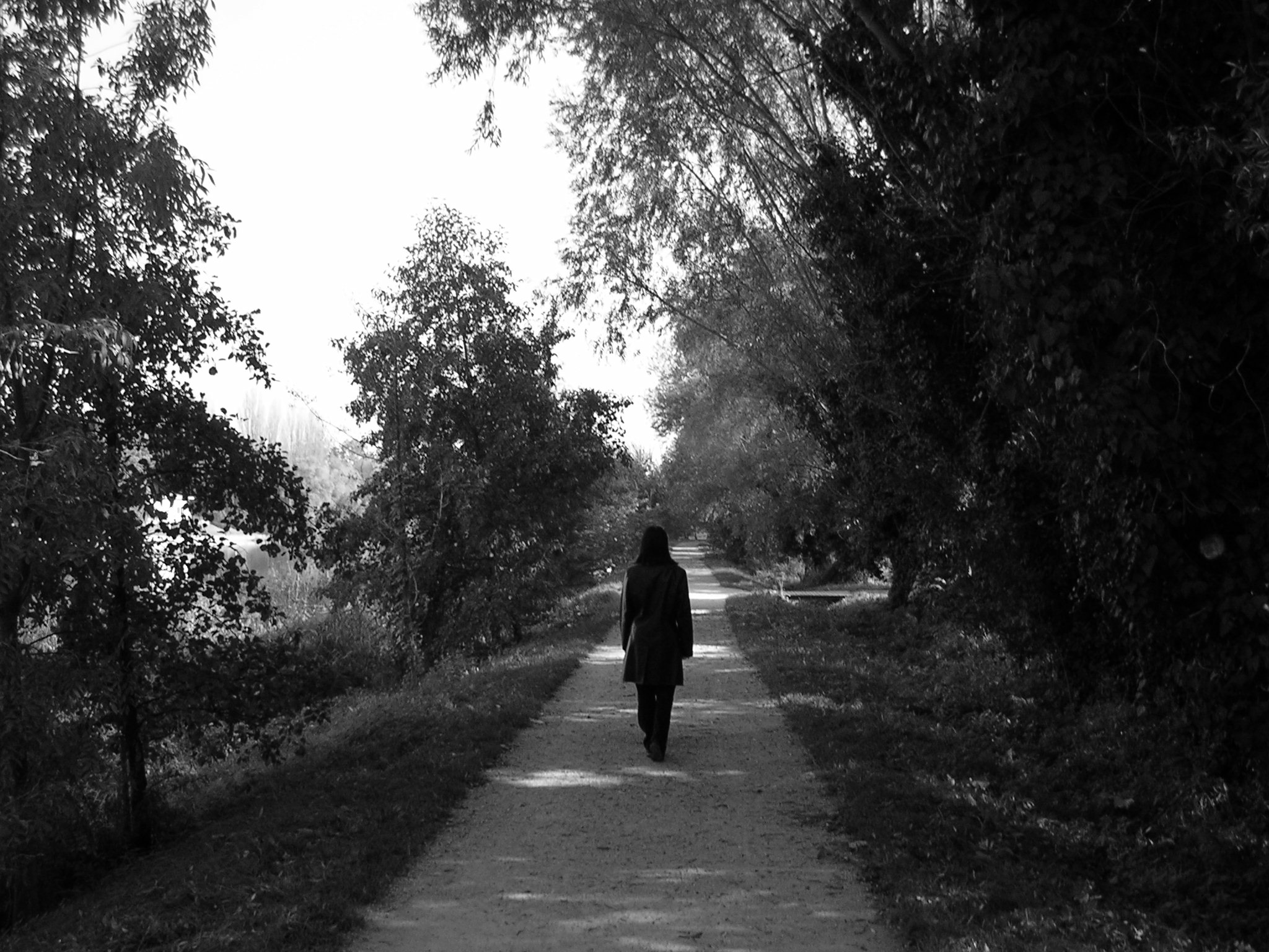 Nicolás Guillén – Um poema de amor